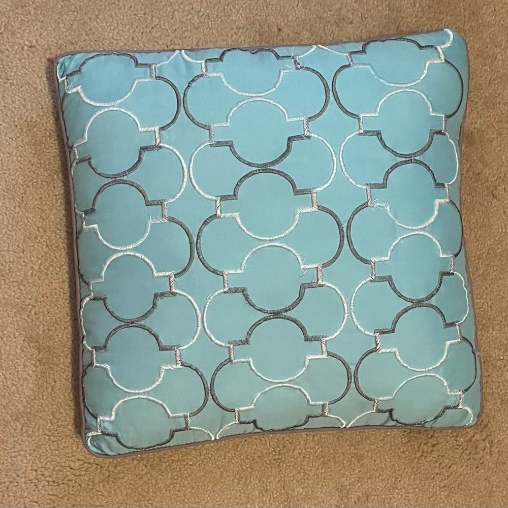 aqua accent pillow!!